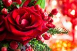 Quà tặng tâm hồn: Bông hồng đêm Giáng Sinh