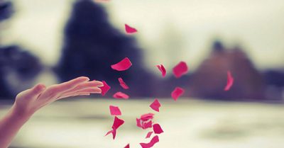 Vở kịch cuộc đời đang diễn lại tích xưa, lời cầu xin rêu phong kín đền chùa