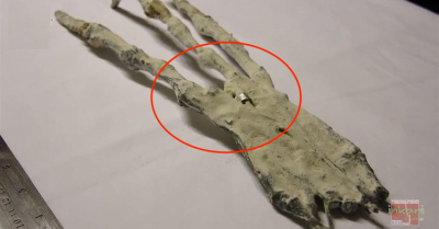 Phát hiện bộ xương lạ kỳ, các nhà khoa học nghi ngờ của người ngoài hành tinh