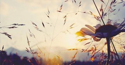 Thơ: Càng cao càng dễ chơi vơi