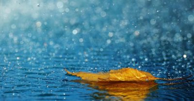 Hôm nay trời đổ mưa: Nhẫn nhịn, cả đời hòa cùng mưa nắng, an hòa trong gió bão, ấy là Đạo