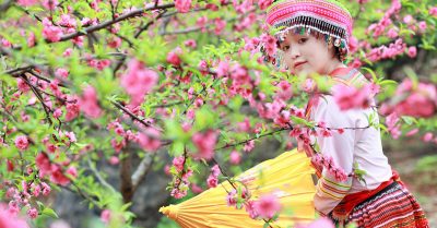 Xuân đến chẳng bất ngờ, bởi lời ước hẹn từ rất xa xưa…