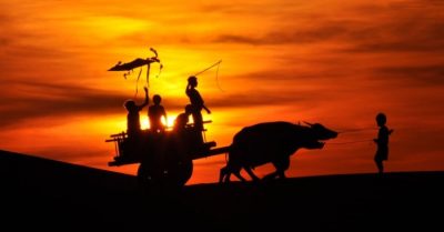 Trên trời cao mây xanh ngút ngát, mùi cỏ thơm thôi thúc về tuổi thơ