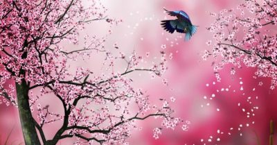 Em có nghe mùa xuân, thầm thì bao ước vọng…