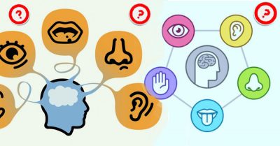 Liệu 5 giác quan có cho phép bạn nhận thức trọn vẹn thế giới trước mặt?