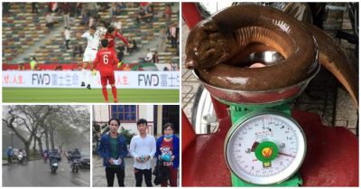 CHÀO BUỔI SÁNG ngày 10/1: Báo chí Iraq bất ngờ vì đội nhà gặp nhiều khó khăn trước tuyển VN; Ngồi tù oan hơn 1 năm, 3 thanh niên ở Cà Mau nhận bồi thường …