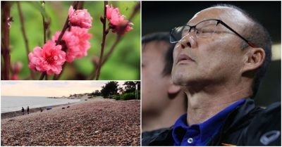 CHÀO BUỔI SÁNG ngày 27/1: HLV Park Hang-seo gửi yêu cầu đặc biệt tới VFF, Lãnh đạo Bình Thuận nói gì về thông tin bãi đá 7 màu nổi tiếng bị san phẳng?