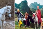 Bạch Long Mã bị đánh giá thấp trong Tây Du Ký nhưng thực sự không hề đơn giản