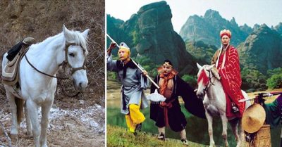 Bạch Long Mã bị đánh giá thấp trong Tây Du Ký nhưng thực sự không hề đơn giản