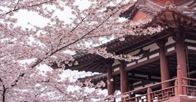 Cô thợ giặt hóa ra là cao thủ võ lâm, khéo trừng trị tên quan gian ác