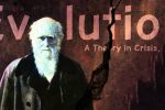 Âu Dương Phi: Tại sao giả thuyết tiến hóa vẫn có thị trường?