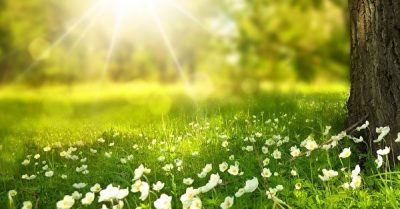 Bài thơ thiên cổ “Du tử ngâm” đã được viết như thế nào?