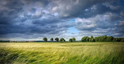 Kỳ thuật: Xem gió có thể dự tri vận mệnh và hưng suy thành bại