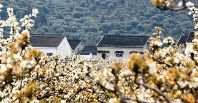 Nhờ thiện niệm thiện hành, một người tàn tật đã cảm động Thần linh mà khỏi bệnh