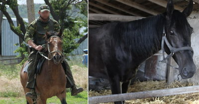 Nga dùng ngựa để vận chuyển vũ khí