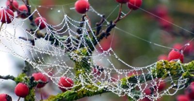 Thử lòng chung thủy của vợ, kết quả thành đại họa