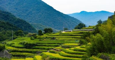 Kế mẫu đoạt tiền tài của con trai cả, phú quý liệu có được lâu dài?