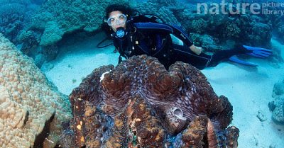 Môi trường biển đang suy giảm nghiêm trọng do các hoạt động của con người ở Biển Đông