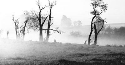 Một năm trước khi chiến tranh nổ ra, phủ Diêm Vương đã lập Sổ Hạo kiếp