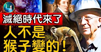 Thuyết Thần sáng thế đối đầu với thuyết tiến hóa: Chân tướng về lịch sử “trưởng thành” của Địa Cầu