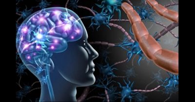 Khởi động tuần hoàn tích cực về sức khỏe thân tâm bằng cách cân bằng vi khuẩn đường ruột