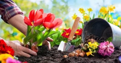 Cách tốt nhất để sống tốt quãng đời còn lại: Hãy làm 4 việc này cho chính mình 