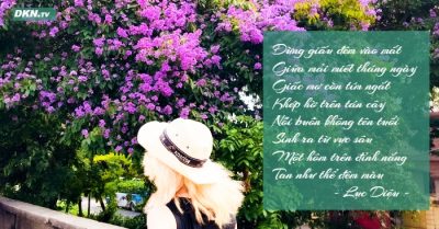 Đừng giấu đêm vào mắt