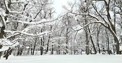 Hai không gian giao thoa? Giấc mơ kỳ lạ hóa ra là chân thực