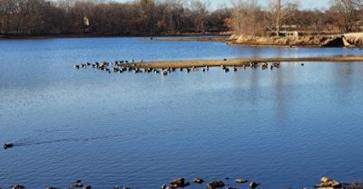 Trong mệnh lợi Bắc bất lợi Nam, ở phương Nam thi mãi không trúng, đến phương Bắc lại liên tiếp đỗ đạt, một mạch đến tiến sĩ