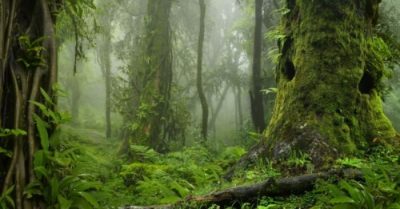 Học trò lấy trộm kiếm phả của sư phụ, kết cục không ngờ