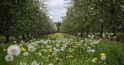 Tự ý động sửa phong thủy, hậu quả có nghiêm trọng không?