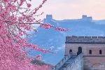 Xem tướng biết về già vô phúc, tướng quân Tào Bân theo lời đạo sĩ thay đổi vận mệnh