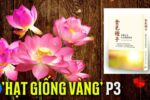 Hạt giống vàng P3: Một võ lâm kỳ sĩ được khai sáng bởi “Lớp học chín ngày”