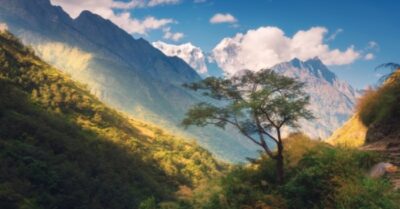 Một huyệt Phong Thủy cát địa, mấy gia đình thành tài