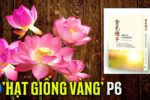Hạt giống vàng P6: Chứng kiến ​​Sư phụ Lý chữa bệnh cho bà cụ bị liệt hơn mười năm