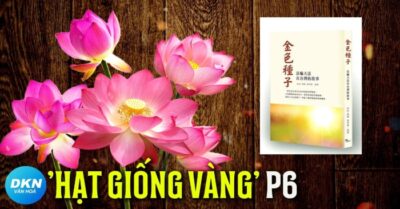 Hạt giống vàng P6: Chứng kiến ​​Sư phụ Lý chữa bệnh cho bà cụ bị liệt hơn mười năm