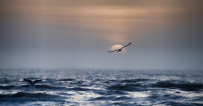 Bảo vật trong truyền thuyết xưa biến nước biển thành suối ngọt, Bảo Mẫu quy tụ minh châu