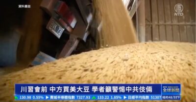 Trước thềm hội nghị Trump-Tập, Trung Quốc mua đậu nành Mỹ. Học giả kêu gọi cảnh giác thủ đoạn của ĐCSTQ