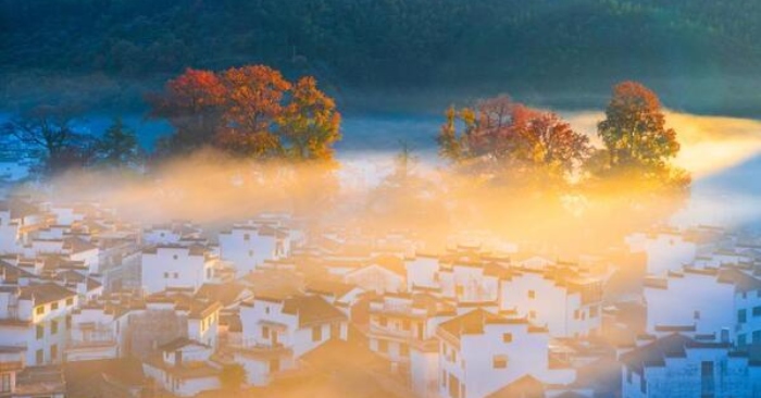 Kỳ văn chuyển thế thời Cách mạng Văn hóa: Đầu thai mang theo ký ức để báo thù