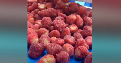 Dâu tây Trung Quốc gây sốc khi chứa 20 loại thuốc trừ sâu, hàm lượng Cadmium vượt mức cho phép 14 lần