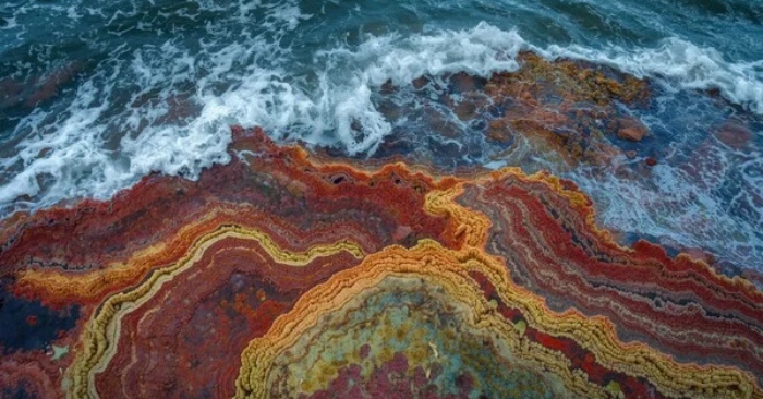 Tảng đá lại có thể lớn lên? “Đá sống” ở Nam Phi phát triển bất kể ngày đêm