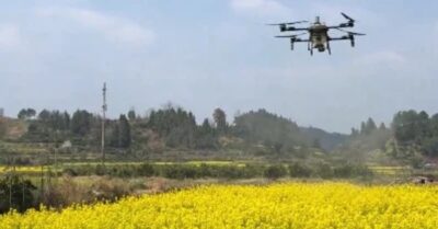 Chính quyền nhiều nơi của ĐCSTQ phun thuốc cho hoa cải dầu, người dân phẫn nộ: “Đây mới thực sự là hãm hại nông dân”