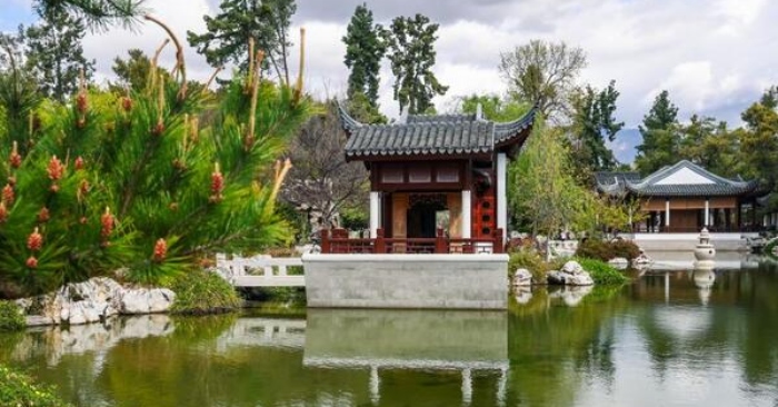 Bội tín nuốt lời, trong mộng biến thành chó