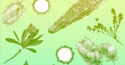 Vị đắng bị lãng quên: Hướng đi mới trong chế độ ăn uống giúp kiểm soát đường huyết và chống viêm
