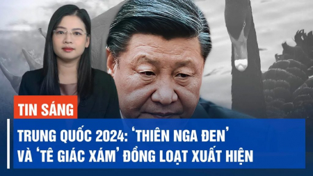 Ukraina đánh chặn hàng loạt tên lửa siêu thanh; Máy bay Nga vô tình làm rơi đạn