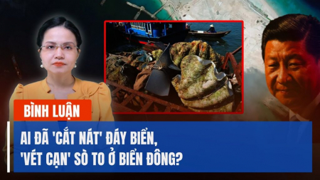 Ai đã 'cắt nát' đáy biển, 'vét cạn' sò to ở Biển Đông?