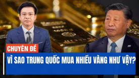 Chuyên gia tiết lộ lý do chính phủ Trung Quốc mua rất nhiều vàng