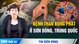 Bệnh than bùng phát ở Sơn Đông, Trung Quốc; Đài Loan nên chú ý đến Kim Môn?