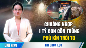 Trung Quốc: Choáng ngợp cảnh tượng hơn 1 tỷ con côn trùng bay phủ kín trời như ‘tận thế’