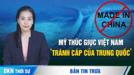 Reuters: Mỹ đang thúc giục Việt Nam không sử dụng cáp viễn thông của Trung Quốc